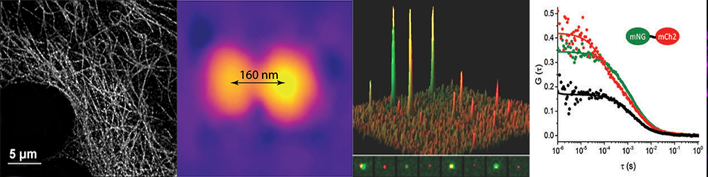 Single molecule imaging and quantification
